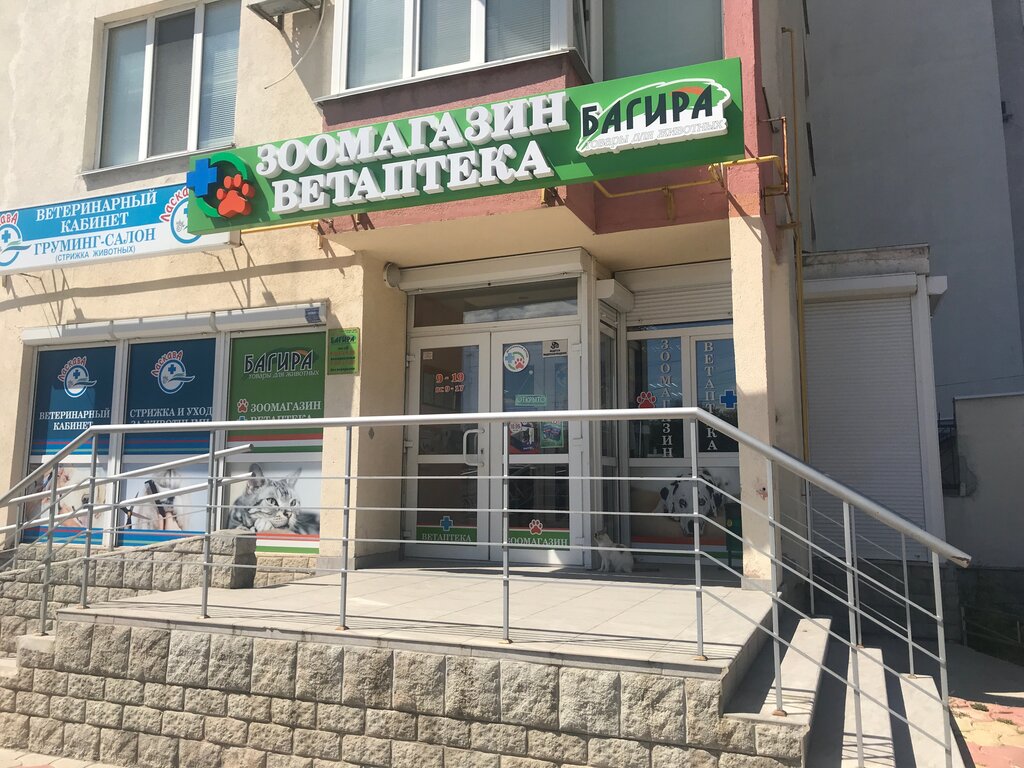 Визитки Багира